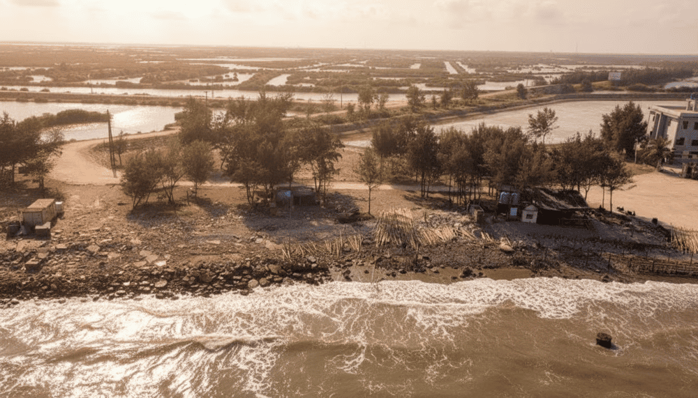 To&agrave;n bộ khu vực Cồn V&agrave;nh bao gồm cả b&atilde;i biển v&agrave; khu bảo tồn đất ngập nước